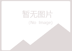 山西迎夏能源有限公司